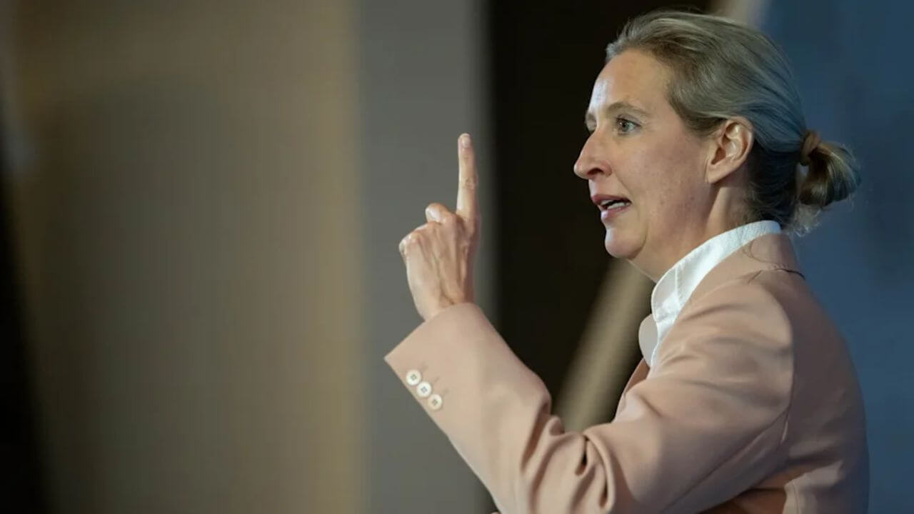 Weidel AfD Kontrolle Krise