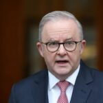 albanese-one-nation-kritik