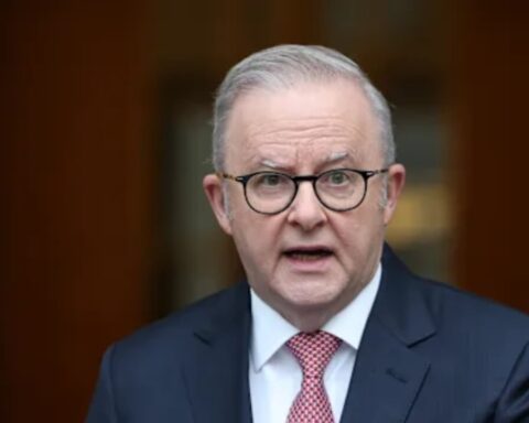 albanese-one-nation-kritik