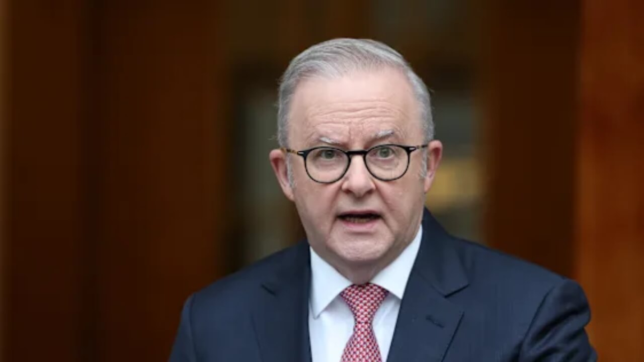 albanese-one-nation-kritik