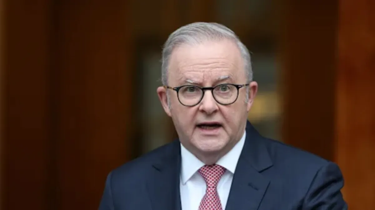 albanese-one-nation-kritik