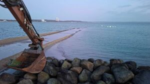 Walrettung Ostsee Erfolg
