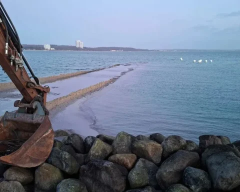 Walrettung Ostsee Erfolg