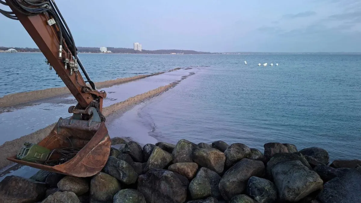 Walrettung Ostsee Erfolg