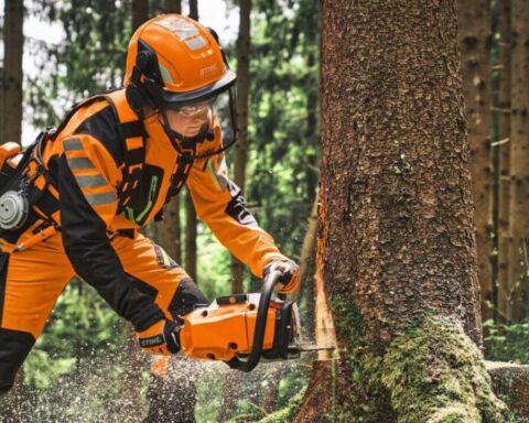 stihl-ms-300-news