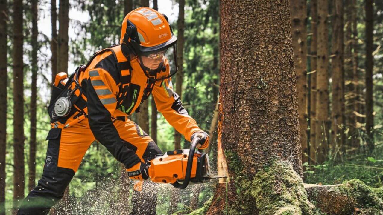 stihl-ms-300-news