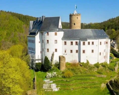 scharfenstein neueste news