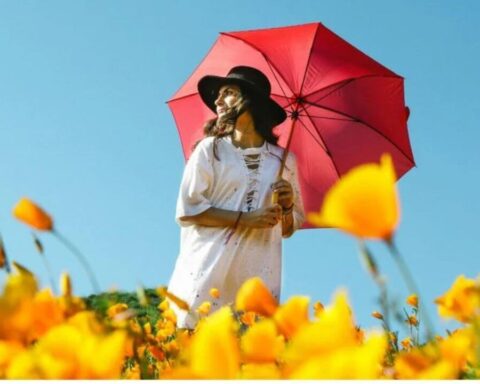 frühlingsanfang-2026-deutschland