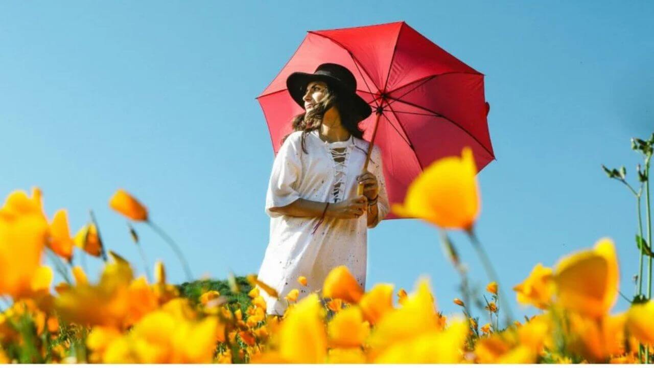 frühlingsanfang-2026-deutschland