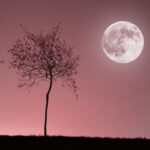 vollmond-2026-april-termine