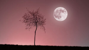 vollmond-2026-april-termine