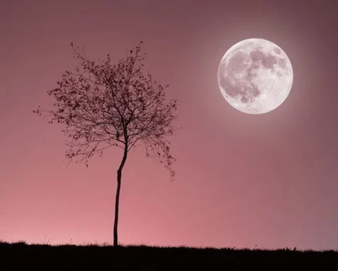 vollmond-2026-april-termine