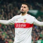 undav-dfb-news