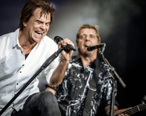 die-toten-hosen-news