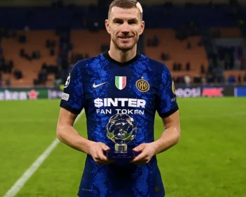 dzeko-schalke-wm-news