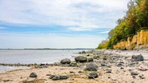 insel-poel-buckelwal-news
