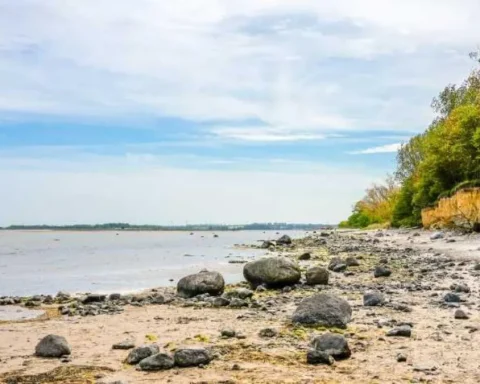 insel-poel-buckelwal-news