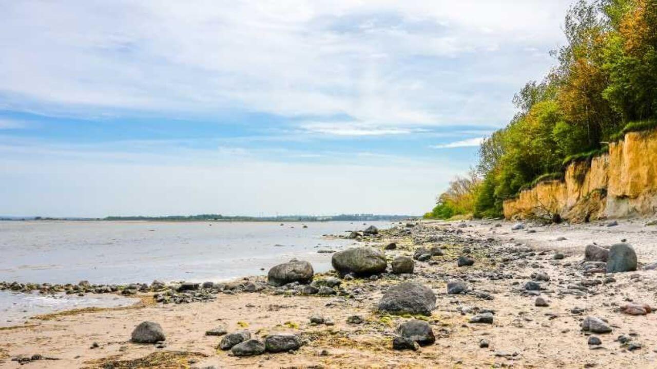 insel-poel-buckelwal-news
