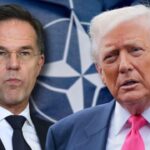 Trump NATO News