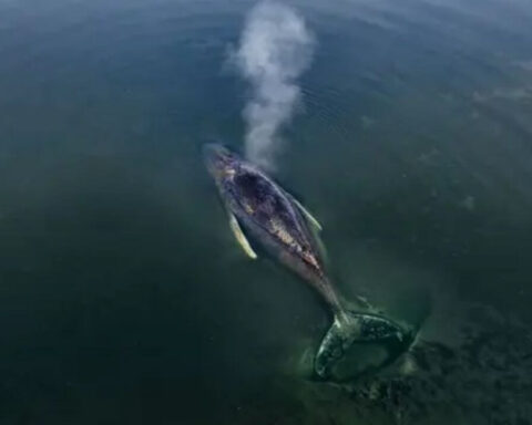 wal-ostsee-aktuell-news