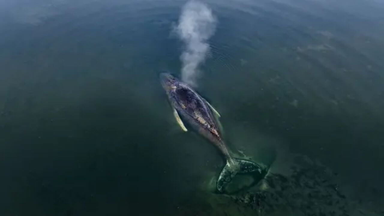 wal-ostsee-aktuell-news