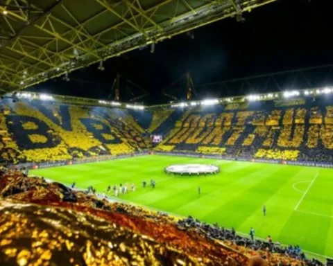 signal-iduna-park-news
