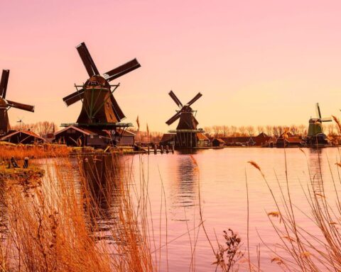 niederlande-aktuelle-nachrichten