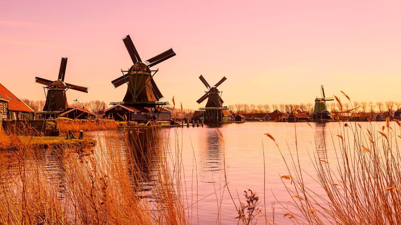 niederlande-aktuelle-nachrichten