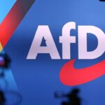 afd-neueste-nachrichten