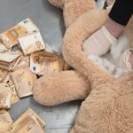 teddybaer-50000-euro-polizei