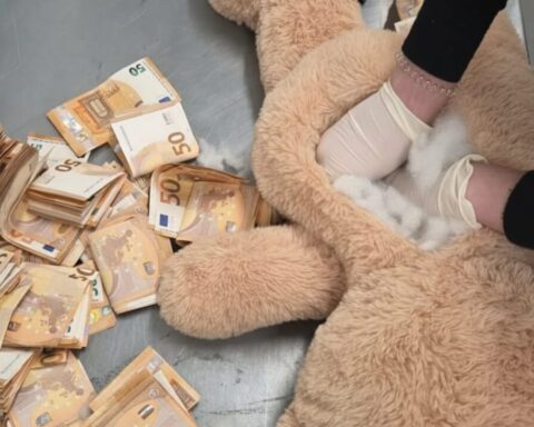 teddybaer-50000-euro-polizei