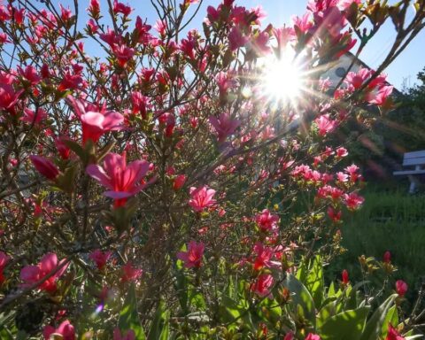 gewitter-mai-hitze-warnung