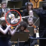 dirigent-schlägt-geige-hand