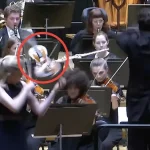 dirigent-schlägt-geige-hand