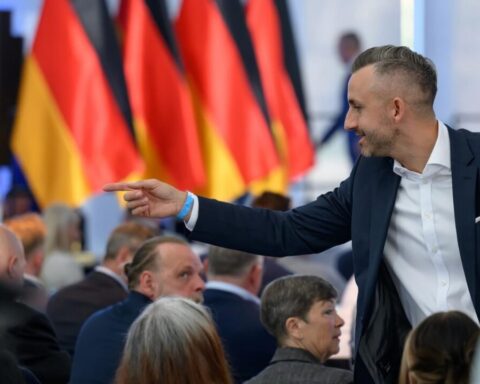 afd-sachsen-anhalt-news