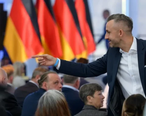 afd-sachsen-anhalt-news
