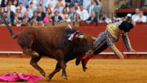 stier-spiesst-torero-auf