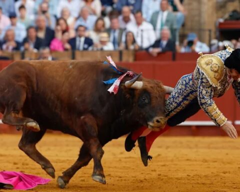 stier-spiesst-torero-auf