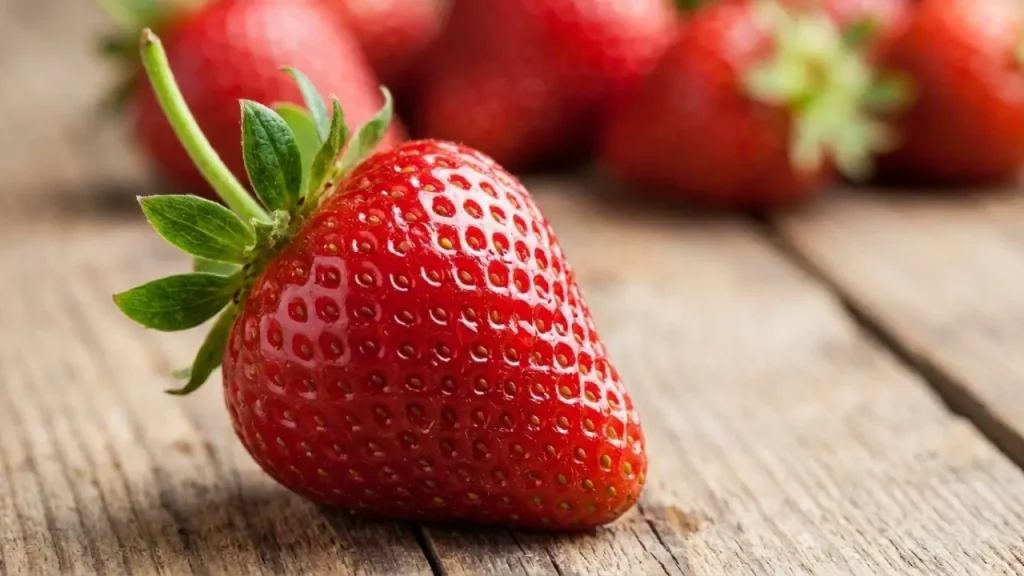 erdbeeren-saison-ratgeber