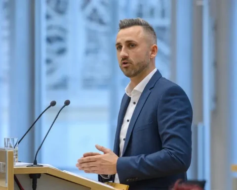 afd-sachsen-anhalt-verwaltungsumbau-plan