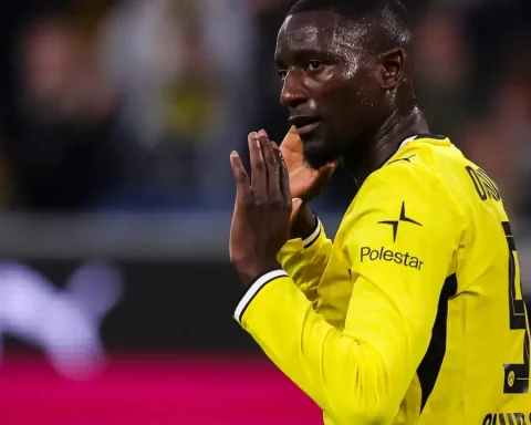 bvb umbruch stars