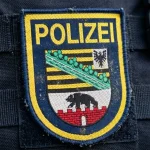 sachsen-anhalt-afd-wahl
