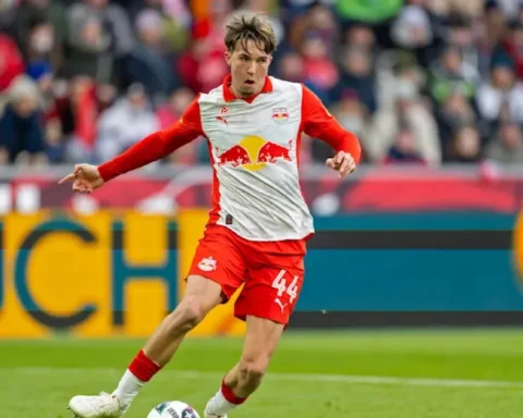 jannik-schuster-brentford