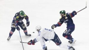 eisbaeren-berlin-finalspiel