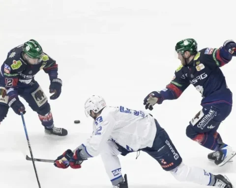 eisbaeren-berlin-finalspiel