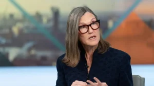 cathie-wood-aktien-selloff
