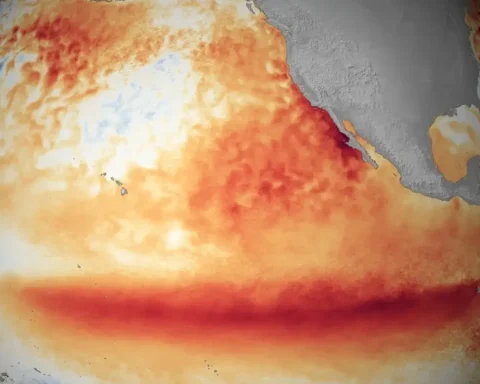 el-nino-extrem-folgen-welt