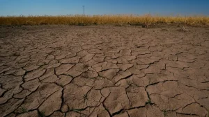 el-nino-2026-globale-krise