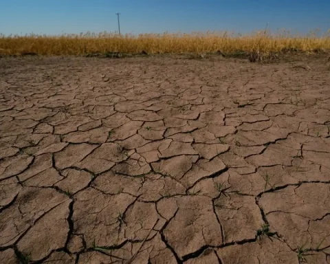 el-nino-2026-globale-krise