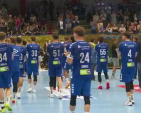 ehv-aue-verpasst-aufstieg-handball